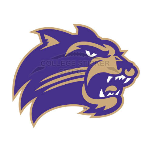 Diy Western Carolina Catamounts Iron-on Transfers (Wall Stickers)NO.6950